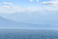 View 11
