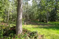 View 35