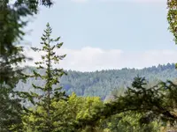 View 24