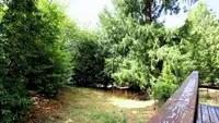 View 13