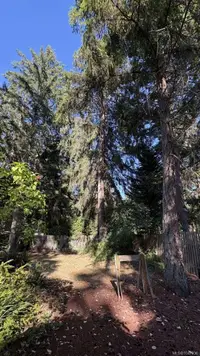 View 17