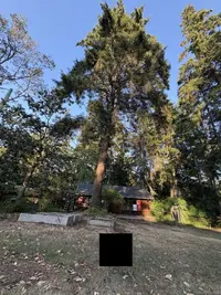 View 21