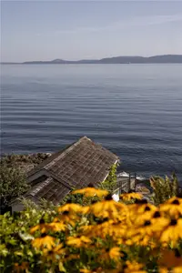 View 51