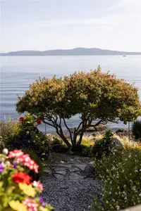 View 54
