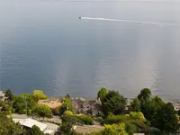 View 60