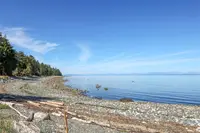 View 12