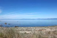 View 59