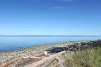 View 60
