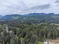 View 42