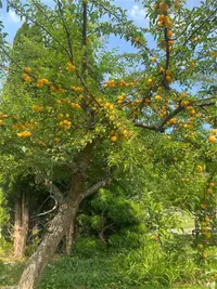 View 17
