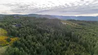 View 65
