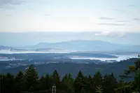View 59