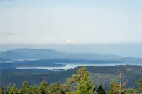 View 21