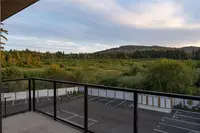View 14