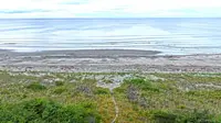 View 30