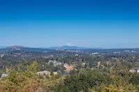 View 56