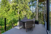 View 50