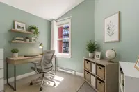 View 24