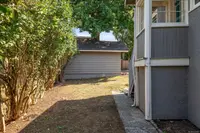 View 50