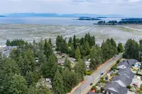 View 50