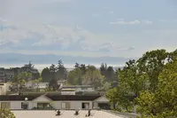 View 66