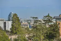 View 68