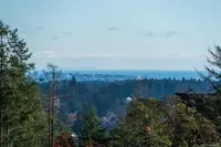 View 31
