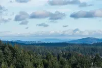 View 21