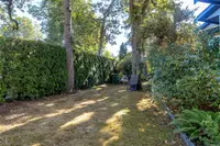 View 31