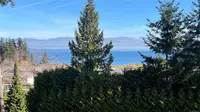 View 28