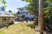 View 32