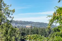 View 31