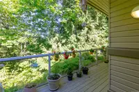 View 37