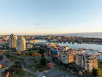 View 51