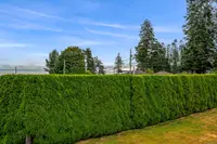 View 73