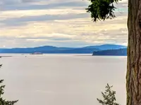 View 21