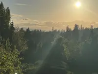 View 49