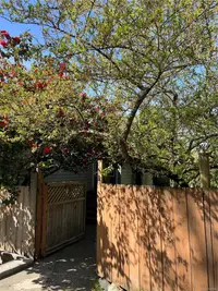 View 35