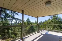 View 50