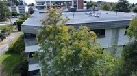 View 32