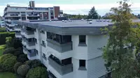 View 31