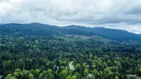 View 73