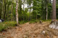 View 52