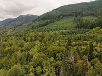 View 53