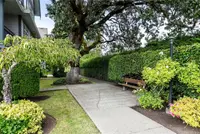 View 21