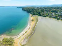 View 41