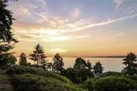 View 80