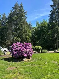 View 42