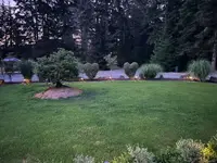 View 41