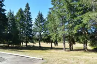View 50